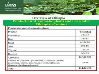 Overview of Ethiopia
 