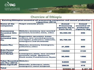 Overview of Ethiopia
 
