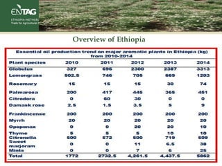 Overview of Ethiopia
 
