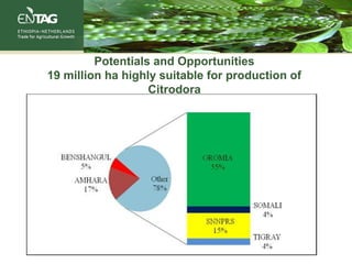 Potentials and Opportunities
19 million ha highly suitable for production of
Citrodora
 
