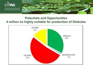 Potentials and Opportunities
4 million ha highly suitable for production of Globules
 