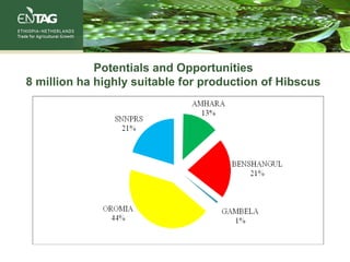 Potentials and Opportunities
8 million ha highly suitable for production of Hibscus
 