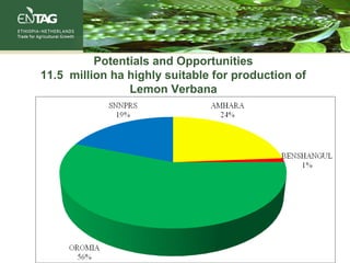 Potentials and Opportunities
11.5 million ha highly suitable for production of
Lemon Verbana
 