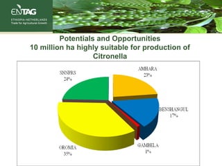 Potentials and Opportunities
10 million ha highly suitable for production of
Citronella
 