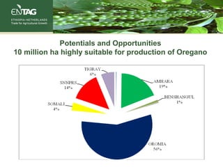 Potentials and Opportunities
10 million ha highly suitable for production of Oregano
 