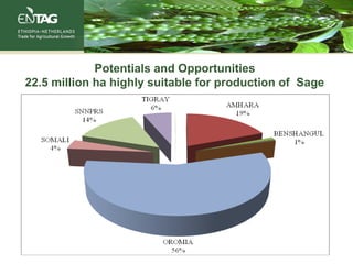 Potentials and Opportunities
22.5 million ha highly suitable for production of Sage
 