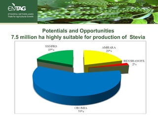 Potentials and Opportunities
7.5 million ha highly suitable for production of Stevia
 