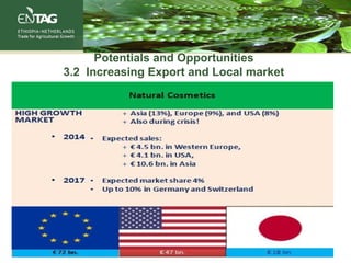 Potentials and Opportunities
3.2 Increasing Export and Local market
 
