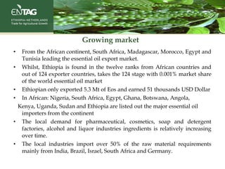 Growing market
• From the African continent, South Africa, Madagascar, Morocco, Egypt and
Tunisia leading the essential oil export market.
• Whilst, Ethiopia is found in the twelve ranks from African countries and
out of 124 exporter countries, takes the 124 stage with 0.001% market share
of the world essential oil market
• Ethiopian only exported 5.3 Mt of Eos and earned 51 thousands USD Dollar
• In African: Nigeria, South Africa, Egypt, Ghana, Botswana, Angola,
Kenya, Uganda, Sudan and Ethiopia are listed out the major essential oil
importers from the continent
• The local demand for pharmaceutical, cosmetics, soap and detergent
factories, alcohol and liquor industries ingredients is relatively increasing
over time.
• The local industries import over 50% of the raw material requirements
mainly from India, Brazil, Israel, South Africa and Germany.
 