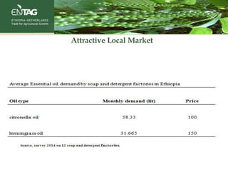 Attractive Local Market
 