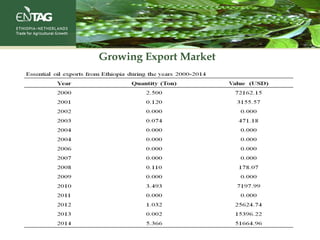 Growing Export Market
 