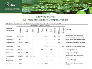 Growing market
3.3 Price and Quality Competitiveness
 