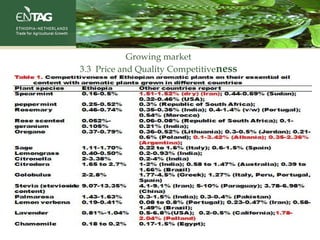 Growing market
3.3 Price and Quality Competitiveness
 