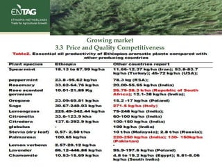 Growing market
3.3 Price and Quality Competitiveness
 