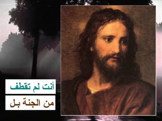 ‫أنت لم تقطف‬
‫من الجنة بـل‬
 