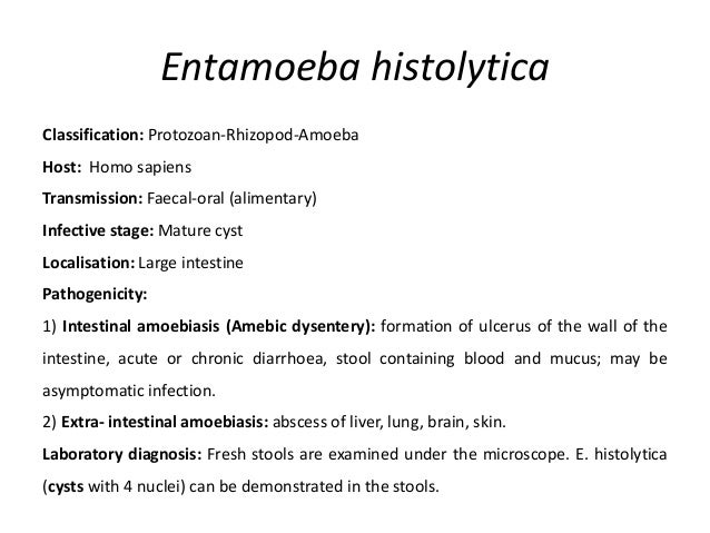 Entamaeba, balantidium, gardia, trichomonas Entamaeba, balantidium, gardia, trichomonas