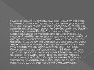 цусан суулгын амёб (Entameoba histolytica) | PPT