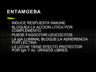 ENTAMOEBA INDUCE RESPUESTA INMUNE BLOQUEA LA ACCION LITICA POR COMPLEMENTO PUEDE FAGOCITAR LEUCOCITOS LA IgA LUMINAL BLOQUE LA ADHERENCIA  POR LECTINA LA LECHE TIENE EFECTO PROTECTOR POR IgA Y Ac. GRASOS LIBRES 