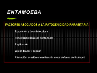 ENTAMOEBA FACTORES ASOCIADOS A LA PATOGENICIDAD PARASITARIA Exposición y dosis infecciosa Penetración barreras anatómicas Replicación Lesión tisular / celular Alteración, evasión e inactivación mecs defensa del huésped 