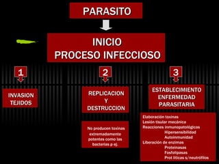 PARASITO INICIO PROCESO INFECCIOSO INVASION TEJIDOS REPLICACION Y DESTRUCCION ESTABLECIMIENTO ENFERMEDAD PARASITARIA No producen toxinas extremadamente potentes como las bacterias p ej. Elaboración toxinas Lesión tisular mecánica Reacciones inmunopatológicas Hipersensibilidad Autoinmunidad Liberación de enzimas Proteinasas Fosfolipasas Prot liticas s/neutrófilos 1 2 3 