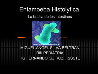 Entamoeba Histolytica La bestia de los intestinos MIGUEL ANGEL SILVA BELTRAN RIII PEDIATRIA HG FERNANDO QUIROZ , ISSSTE 