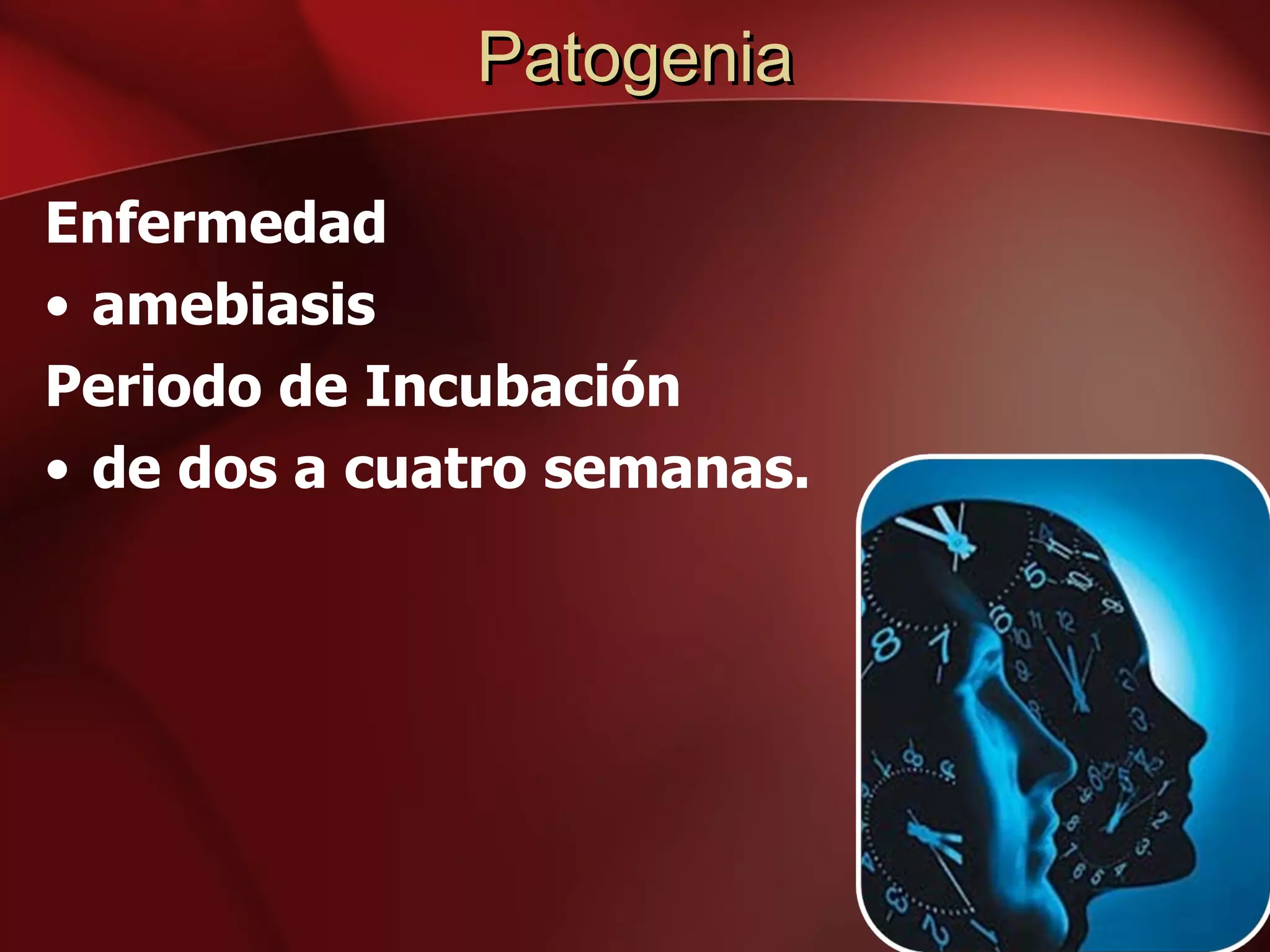 Patogenia Enfermedad  amebiasis Periodo de Incubación de dos a cuatro semanas.  