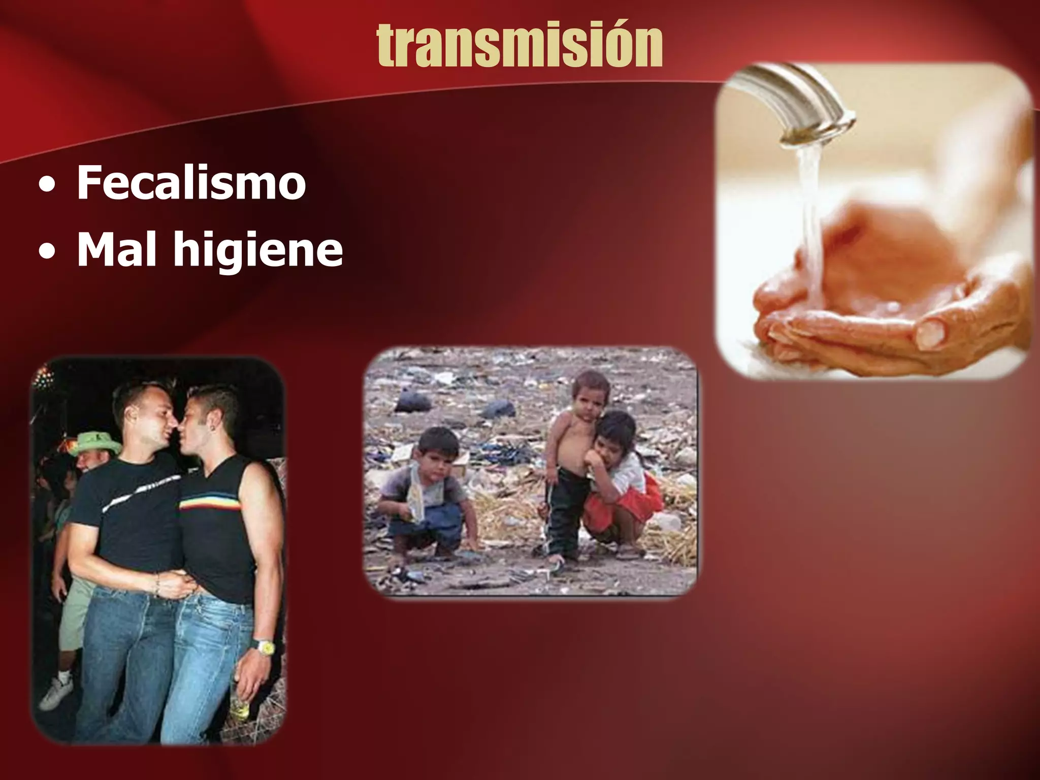 transmisión Fecalismo Mal higiene 