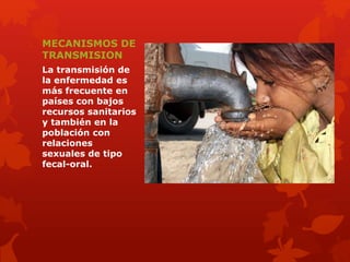 MECANISMOS DE 
TRANSMISION 
La transmisión de 
la enfermedad es 
más frecuente en 
países con bajos 
recursos sanitarios 
y también en la 
población con 
relaciones 
sexuales de tipo 
fecal-oral. 
 