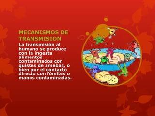 MECANISMOS DE 
TRANSMISION 
La transmisión al 
humano se produce 
con la ingesta 
alimentos 
contaminados con 
quistes de amebas, o 
bien por el contacto 
directo con fómites o 
manos contaminadas. 
 