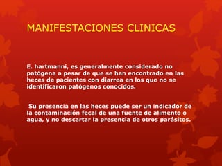 MANIFESTACIONES CLINICAS 
E. hartmanni, es generalmente considerado no 
patógena a pesar de que se han encontrado en las 
heces de pacientes con diarrea en los que no se 
identificaron patógenos conocidos. 
Su presencia en las heces puede ser un indicador de 
la contaminación fecal de una fuente de alimento o 
agua, y no descartar la presencia de otros parásitos. 
 