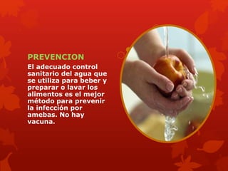 PREVENCION 
El adecuado control 
sanitario del agua que 
se utiliza para beber y 
preparar o lavar los 
alimentos es el mejor 
método para prevenir 
la infección por 
amebas. No hay 
vacuna. 
 