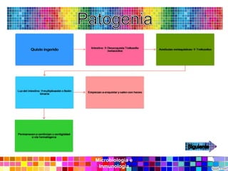 Microbiología e   4
 Inmunología
 
