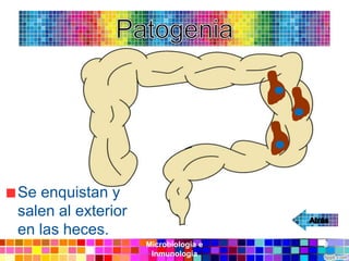 Se enquistan y
salen al exterior
en las heces.
                    Microbiología e   9
                     Inmunología
 