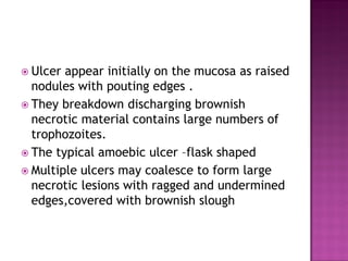  Ulcer appear initially on the mucosa as raised
nodules with pouting edges .
 They breakdown discharging brownish
necrotic material contains large numbers of
trophozoites.
 The typical amoebic ulcer –flask shaped
 Multiple ulcers may coalesce to form large
necrotic lesions with ragged and undermined
edges,covered with brownish slough
 