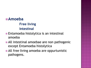 Amoeba
Free living
Intestinal
 Entamoeba histolytica is an intestinal
amoeba
 All intestinal amoebae are non pathogenic
except Entamoeba histolytica
 All free living amoeba are oppurtunistic
pathogens.
 