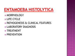  MORPHOLOGY
 LIFE CYCLE
 PATHOGENESIS & CLINICAL FEATURES
 LABORATORY DIAGNOSIS
 TREATMENT
 PREVENTION
 