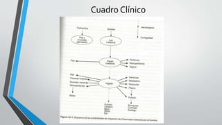 Cuadro Clínico
 