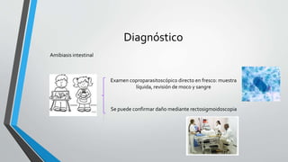 Diagnóstico
Amibiasis intestinal
Examen coproparasitoscópico directo en fresco: muestra
líquida, revisión de moco y sangre
Se puede confirmar daño mediante rectosigmoidoscopia
 