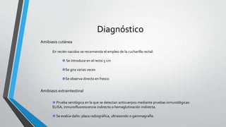 Diagnóstico
Amibiasis cutánea
Amibiasis extraintestinal
Prueba serológica en la que se detectan anticuerpos mediante pruebas inmunológicas:
ELISA, inmunofluorescencia indirecta o hemaglutinación indirecta.
Se evalúa daño: placa radiográfica, ultrasonido o gammagrafía.
En recién nacidos se recomienda el empleo de la cucharilla rectal:
Se introduce en el recto 5 cm
Se gira varias veces
Se observa directo en fresco
 