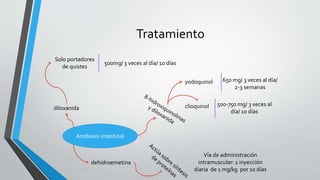 Tratamiento
Amibiasis intestinal
diloxanida
yodoquinol
clioquinol
650 mg/ 3 veces al día/
2-3 semanas
500-750 mg/ 3 veces al
día/ 10 días
Solo portadores
de quistes
Vía de administración
intramuscular: 1 inyección
diaria de 1 mg/kg por 10 días
500mg/ 3 veces al día/ 10 días
dehidroemetina
 