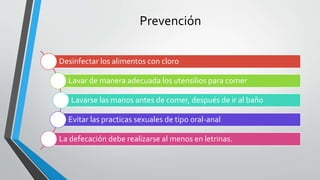Prevención
Desinfectar los alimentos con cloro
Lavar de manera adecuada los utensilios para comer
Lavarse las manos antes de comer, después de ir al baño
Evitar las practicas sexuales de tipo oral-anal
La defecación debe realizarse al menos en letrinas.
 