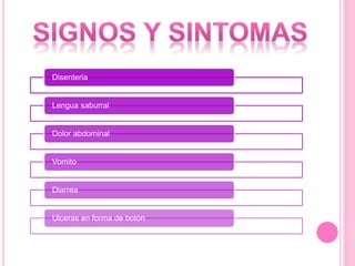 Disenteria
Lengua saburral
Dolor abdominal
Vomito
Diarrea
Ulceras en forma de botón
 