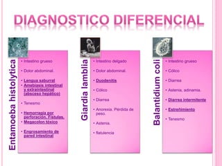 Entamoebahistolytica
• Intestino grueso
• Dolor abdominal.
• Lengua saburral
• Amebiasis intestinal
y extraintestinal
(absceso hepático)
• Tenesmo
• Hemorragia por
perforación. Fístulas.
• Megacolon tóxico
• Engrosamiento de
pared intestinal
Giardialamblia
• Intestino delgado
• Dolor abdominal.
• Duodenitis
• Cólico
• Diarrea
• Anorexia. Pérdida de
peso.
• Astenia.
• flatulencia
Balantidiumcoli
• Intestino grueso
• Cólico
• Diarrea
• Astenia, adinamia.
• Diarrea intermitente
• Estreñimiento
• Tenesmo
 