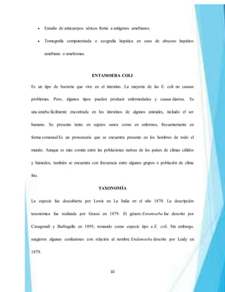10
 Estudio de anticuerpos séricos frente a antígenos amebianos.
 Tomografía computerizada o ecografía hepática en caso de absceso hepático
amebiano o amebomas.
ENTAMOEBA COLI
Es un tipo de bacteria que vive en el intestino. La mayoría de las E. coli no causan
problemas. Pero, algunos tipos pueden producir enfermedades y causar diarrea. Es
una ameba fácilmente encontrada en los intestinos de algunos animales, incluido el ser
humano. Se presenta tanto en sujetos sanos como en enfermos, frecuentemente en
forma comensal.Es un protozoario que se encuentra presente en los hombres de todo el
mundo. Aunque es más común entre las poblaciones nativas de los países de climas cálidos
y húmedos, también se encuentra con frecuencia entre algunos grupos o población de clima
frio.
TAXONOMÍA
La especie fue descubierta por Lewis en La India en el año 1870. La descripción
taxonómica fue realizada por Grassi en 1879. El género Entamoeba fue descrito por
Casagrandi y Barbagallo en 1895, tomando como especie tipo a E. coli. Sin embargo,
surgieron algunas confusiones con relación al nombre Endamoeba descrito por Leidy en
1879.
 