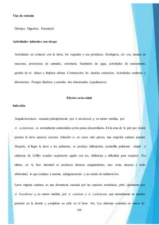 110
Vías de entrada
Dérmica. Digestiva. Parenteral.
Actividades laborales con riesgo
Actividades en contacto con la tierra, los vegetales y sus productos. Zoológicos, cir- cos, tiendas de
mascotas, protectoras de animales, veterinaria. Suministro de agua, actividades de saneamiento,
gestión de re- siduos y limpieza urbana. Construcción. In- dustrias extractivas. Actividades sanitarias y
laboratorios. Pompas fúnebres y activida- des relacionadas (sepultureros).
Efectos en la salud
Infección
Anquilostomiasis: causada principalmente por A. duodenale y, en menor medida, por
A. ceylanicum, es normalmente asintomática en los países desarrollados. En la zona de la piel por donde
penetra la larva aparece escozor, irritación o, en casos más graves, una erupción cutánea papular.
Después, al llegar la larva a los pulmones, se produce inflamación, eosinofilia pulmonar simple o
síndrome de Löffler (cuadro respiratorio agudo con tos, sibilancias y dificultad para respirar). Por
último, en la fase intestinal se producen diarreas sanguinolentas, ano- rexia, náuseas y dolor
abdominal, lo que conduce a anemia, adelgazamiento y un estado de malnutrición.
Larva migrans cutánea: es una dermatosis causada por las especies zoonóticas, prin- cipalmente por
A. braziliense y, en menor medida, por A. caninum y A. ceylanicum, que normalmente no pueden
penetrar en la dermis y completar su ciclo en el hom- bre. Los síntomas consisten en surcos le-
 