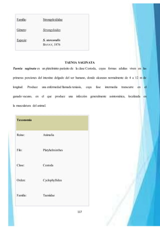 117
Familia: Strongyloididae
Género: Strongyloides
Especie: S. stercoralis
BAVAY, 1876
TAENIA SAGINATA
Taenia saginata es un platelminto parásito de la clase Cestoda, cuyas formas adultas viven en las
primeras porciones del intestino delgado del ser humano, donde alcanzan normalmente de 4 a 12 m de
longitud. Produce una enfermedad llamada teniasis, cuya fase intermedia transcurre en el
ganado vacuno, en el que produce una infección generalmente asintomática, localizada en
la musculatura del animal.
Taxonomía
Reino: Animalia
Filo: Platyhelminthes
Clase: Cestoda
Orden: Cyclophyllidea
Familia: Taeniidae
 