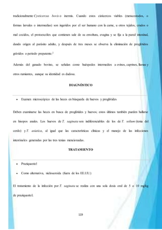 119
tradicionalmente Cysticercus bovis o inermis. Cuando estos cisticercos viables (metacestodos, o
formas larvales o intermedias) son ingeridos por el ser humano con la carne, u otros tejidos, crudos o
mal cocidos, el protoescólex que contienen sale de su envoltura, evagina y se fija a la pared intestinal,
dando origen al parásito adulto, y después de tres meses se observa la eliminación de proglótidos
grávidos o periodo prepatente.2
Además del ganado bovino, se señalan como huéspedes intermedios a ovinos, caprinos, llamas y
otros rumiantes, aunque su identidad es dudosa.
DIAGNÓSTICO
 Examen microscópico de las heces en búsqueda de huevos y proglótides
Deben examinarse las heces en busca de proglótides y huevos; estos últimos también pueden hallarse
en hisopos anales. Los huevos de T. saginata son indiferenciables de los de T. solium (tenia del
cerdo) y T. asiatica, al igual que las características clínicas y el manejo de las infecciones
intestinales generadas por las tres tenias mencionadas.
TRATAMIENTO
 Praziquantel
 Como alternativa, niclosamida (fuera de los EE.UU.)
El tratamiento de la infección por T. saginata se realiza con una sola dosis oral de 5 o 10 mg/kg
de praziquantel.
 