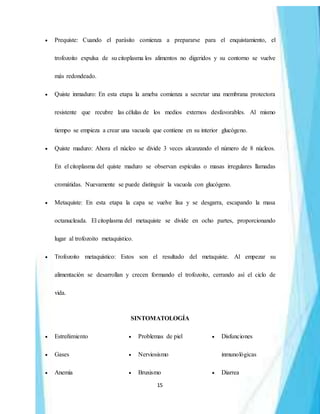 15
 Prequiste: Cuando el parásito comienza a prepararse para el enquistamiento, el
trofozoito expulsa de su citoplasma los alimentos no digeridos y su contorno se vuelve
más redondeado.
 Quiste inmaduro: En esta etapa la ameba comienza a secretar una membrana protectora
resistente que recubre las células de los medios externos desfavorables. Al mismo
tiempo se empieza a crear una vacuola que contiene en su interior glucógeno.
 Quiste maduro: Ahora el núcleo se divide 3 veces alcanzando el número de 8 núcleos.
En el citoplasma del quiste maduro se observan espículas o masas irregulares llamadas
cromátidas. Nuevamente se puede distinguir la vacuola con glucógeno.
 Metaquiste: En esta etapa la capa se vuelve lisa y se desgarra, escapando la masa
octanucleada. El citoplasma del metaquiste se divide en ocho partes, proporcionando
lugar al trofozoito metaquístico.
 Trofozoito metaquístico: Estos son el resultado del metaquiste. Al empezar su
alimentación se desarrollan y crecen formando el trofozoito, cerrando así el ciclo de
vida.
SINTOMATOLOGÍA
 Estreñimiento
 Gases
 Anemia
 Problemas de piel
 Nerviosismo
 Bruxismo
 Disfunciones
inmunológicas
 Diarrea
 