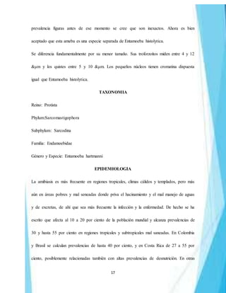 17
prevalencia figuras antes de ese momento se cree que son inexactos. Ahora es bien
aceptado que esta ameba es una especie separada de Entamoeba histolytica.
Se diferencia fundamentalmente por su menor tamaño. Sus troforzoítos miden entre 4 y 12
&μm y los quistes entre 5 y 10 &μm. Los pequeños núcleos tienen cromatina dispuesta
igual que Entamoeba histolytica.
TAXONOMIA
Reino: Protista
Phylum:Sarcomastigophora
Subphylum: Sarcodina
Familia: Endamoebidae
Género y Especie: Entamoeba hartmanni
EPIDEMIOLOGIA
La amibiasis es más frecuente en regiones tropicales, climas cálidos y templados, pero más
aún en áreas pobres y mal seneadas donde priva el hacinamiento y el mal manejo de aguas
y de excretas, de ahí que sea más frecuente la infección y la enfermedad. De hecho se ha
escrito que afecta al 10 a 20 por ciento de la población mundial y alcanza prevalencias de
30 y hasta 55 por ciento en regiones tropicales y subtropicales mal saneadas. En Colombia
y Brasil se calculan prevalencias de hasta 40 por ciento, y en Costa Rica de 27 a 55 por
ciento, posiblemente relacionadas también con altas prevalencias de desnutrición. En otras
 