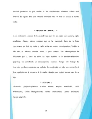 21
abscesos periféricos de gran tamaño, o una sobreinfección bacteriana. Existen otros
fármacos de segunda línea con actividad amebicida pero son rara vez usados en nuestro
medio.
ENTAMOEBA GINGIVALIS
Es un protozoario comensal de la cavidad bucal que vive en encías, sarro dental y criptas
amigdalinas. Algunos autores aseguran que se ha encontrado fuera de la boca,
especialmente en frotis de vagina y cuello uterino de mujeres con dispositivos. También ha
sido vista en primates, caballos, perros y gatos cautivos. Este microorganismo fue
descubierto por G. Gros en 1849. En aquel momento se le denominó Endamoeba
gingivalis y fue considerada un microorganismo comensal. Aunque este hallazgo fue
observado en algunos pacientes que padecían de periodontitis, no hubo una asociación de
dicha patología con la presencia de la ameba, situación que perduró durante más de un
siglo.
TAXONOMÍA
Entamoeba gingivalis pertenece al Reino Protista, Phylum: Amoebozoa, Clase:
Archamoebae, Orden: Mastigamoebida, Familia: Entamoebidae, Género: Entamoeba,
Especie: gingivalis.
 